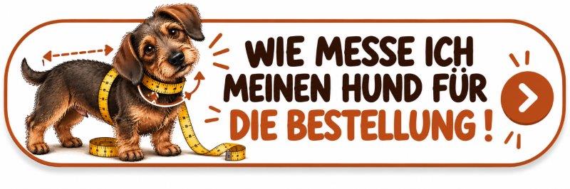 Wie messe ich meinen Hund_